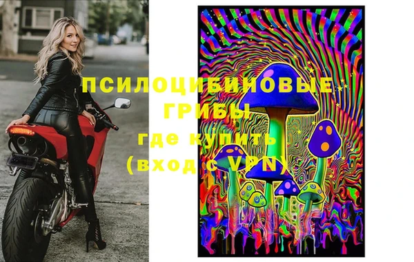 mix Бородино